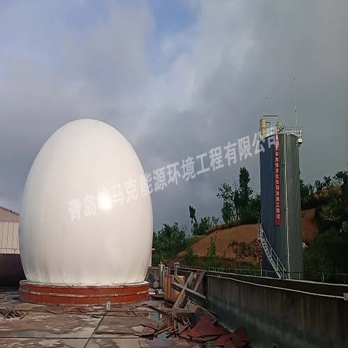 双膜气柜3